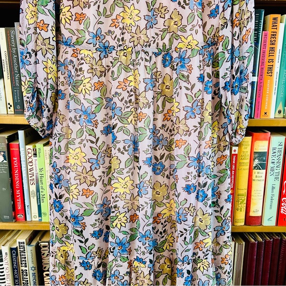 Velvet Graham Spencer Sheer Floral Drawstring Waist Slip Lng Sleeve Midi Dress S - Picture 4 of 16